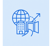 Foreign Investment & Market Entry